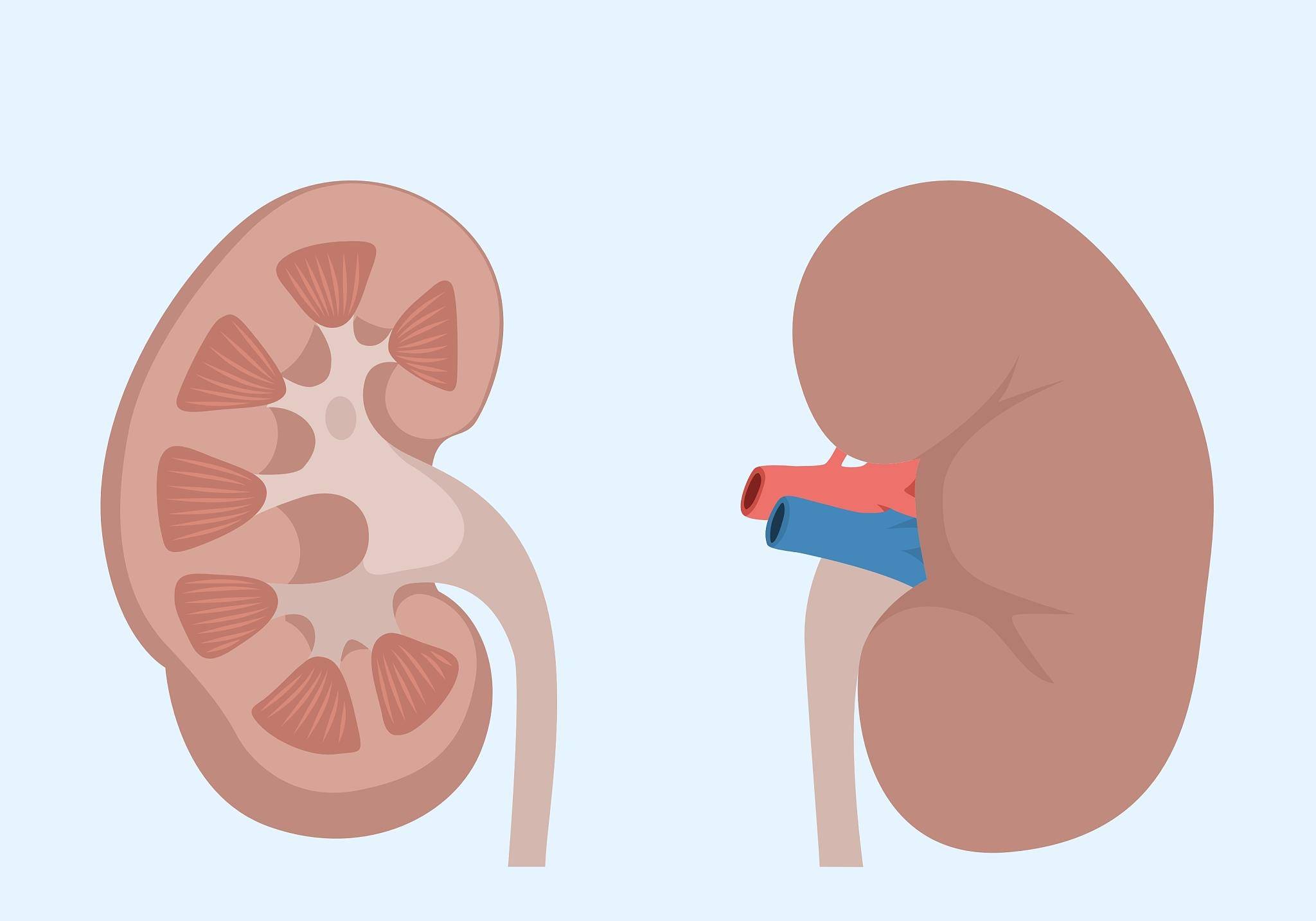 补充|得了肾结核,该做好这几个护理,帮身体减轻负担