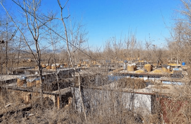 为什么北方的农村大多都是平房?_屋顶_建设_房子