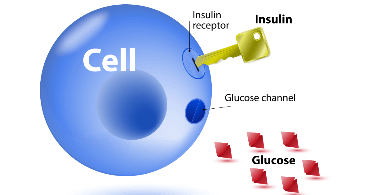 cf6a77821f7141e880257c629509ba5e.png