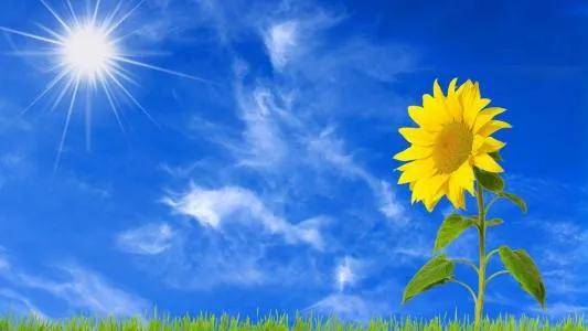 umol|心宽病自去，肾衰患者成功远离透析