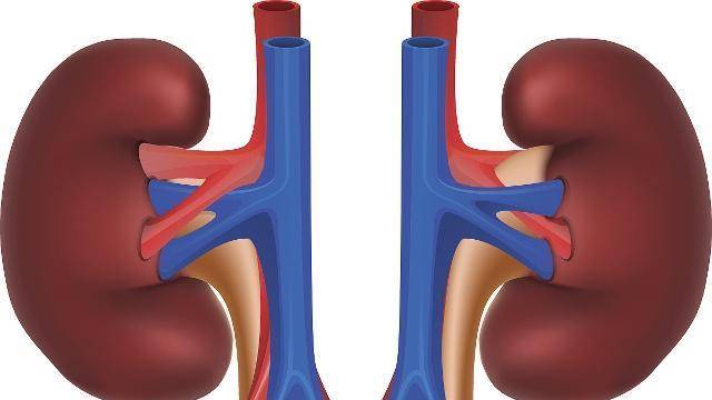 进行|男性每天排尿次数接近“这个数”就偷乐吧，尿毒症可能还离你较远