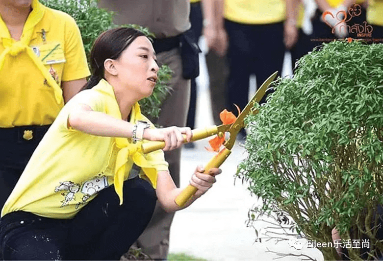 诗丽吉 不婚争王位？泰国甄嬛传的进度条又到哪了？