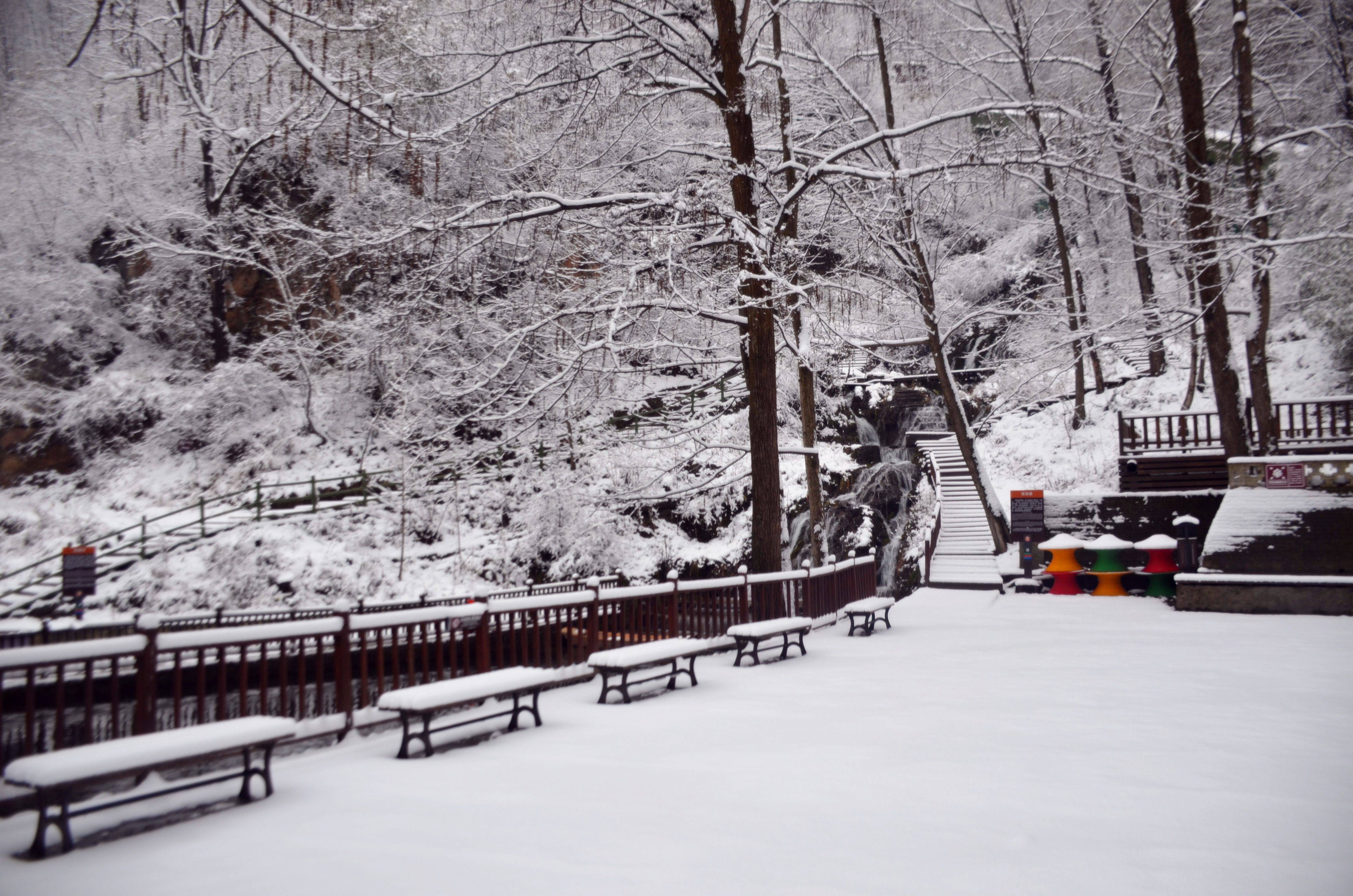 深山区,是国家4a级景区,栾川十大景区之一,冬季最适合赏雪景看冰挂