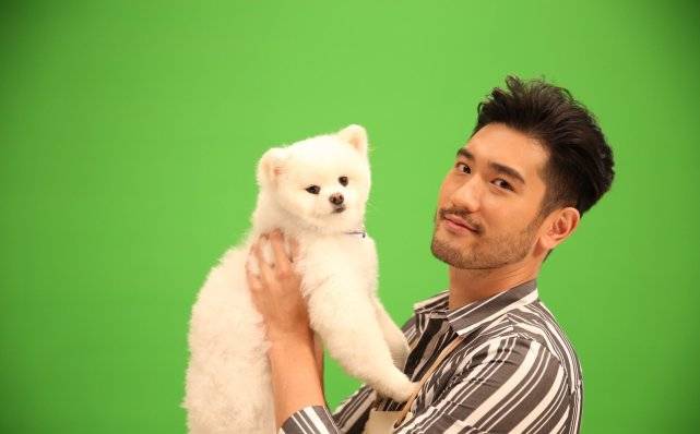 目前,粉丝还是无法前往墓地看望高以翔,不过,好友卢毅透露,高以翔的