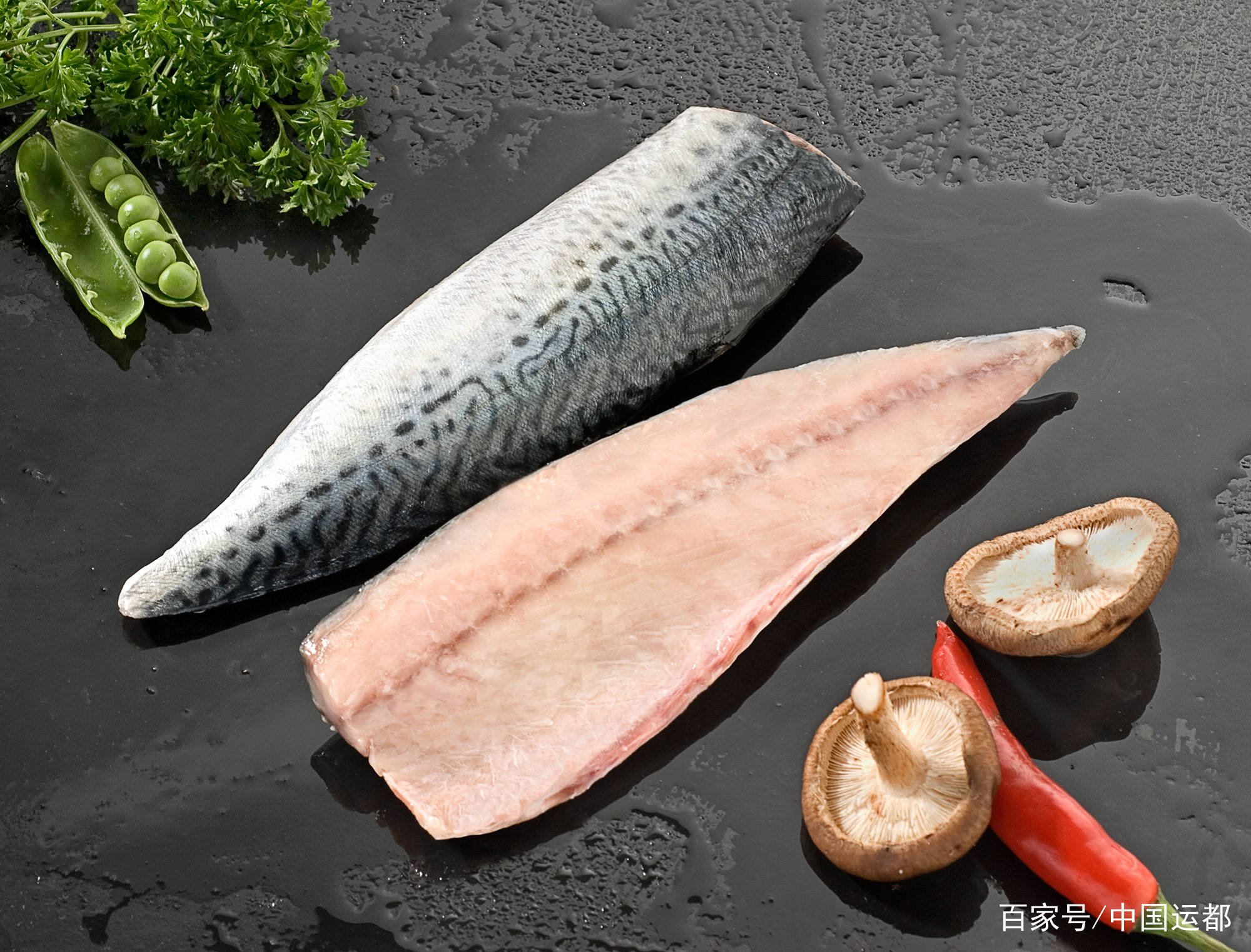 【威海运都】☆海识 | 鲭鱼_鱼肉_大西洋_日本