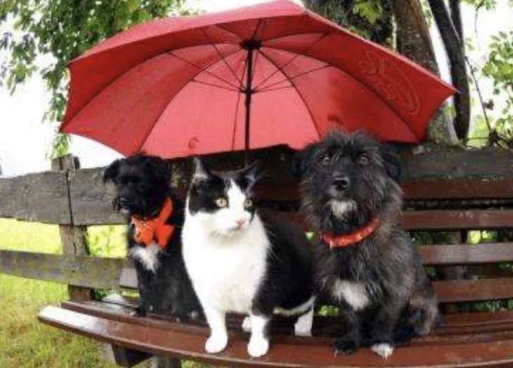 什么医美术后修护用什么:有效医美,拒绝白费。