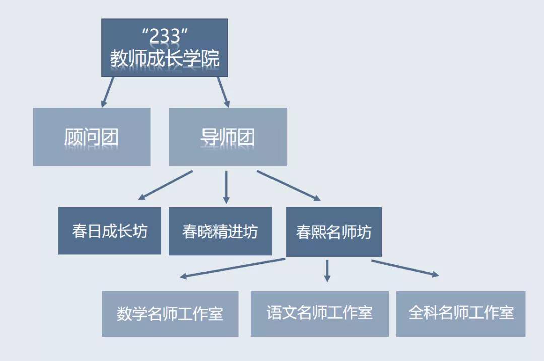 团队|思维型教研赋能成长，教师如何实现专业蜕变？