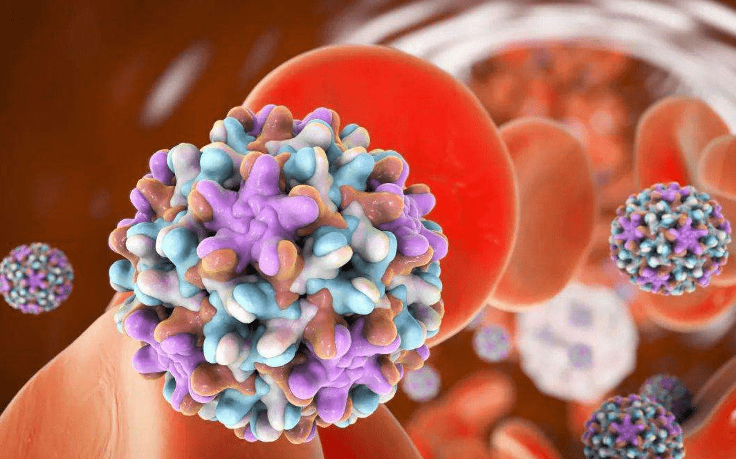 治疗|乙肝为什么难彻底治愈？现在的治疗手段能做到什么程度？