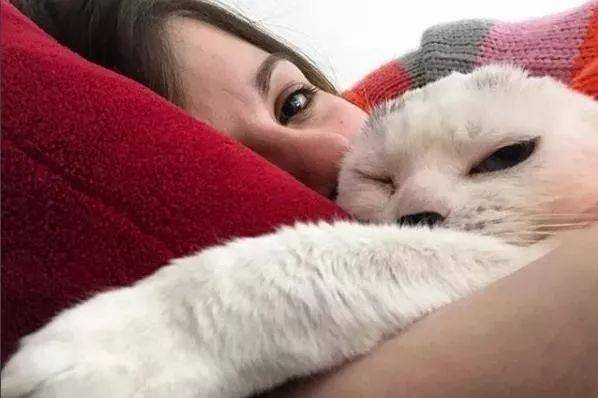 猫咪失去双耳,被原主人抛弃,却治愈了患有焦虑症的她 猫咪失去双耳,被原主人抛弃,却治愈了患有焦虑症的她