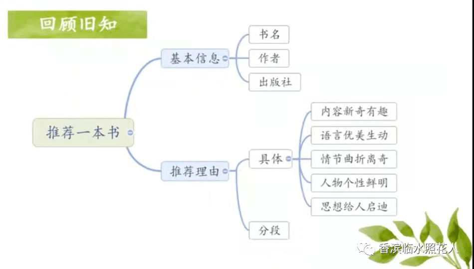 笑猫日记的思维导图图片