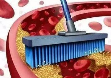 方案|紫癜治疗中哪些该做,哪些不该做?你都知道吗