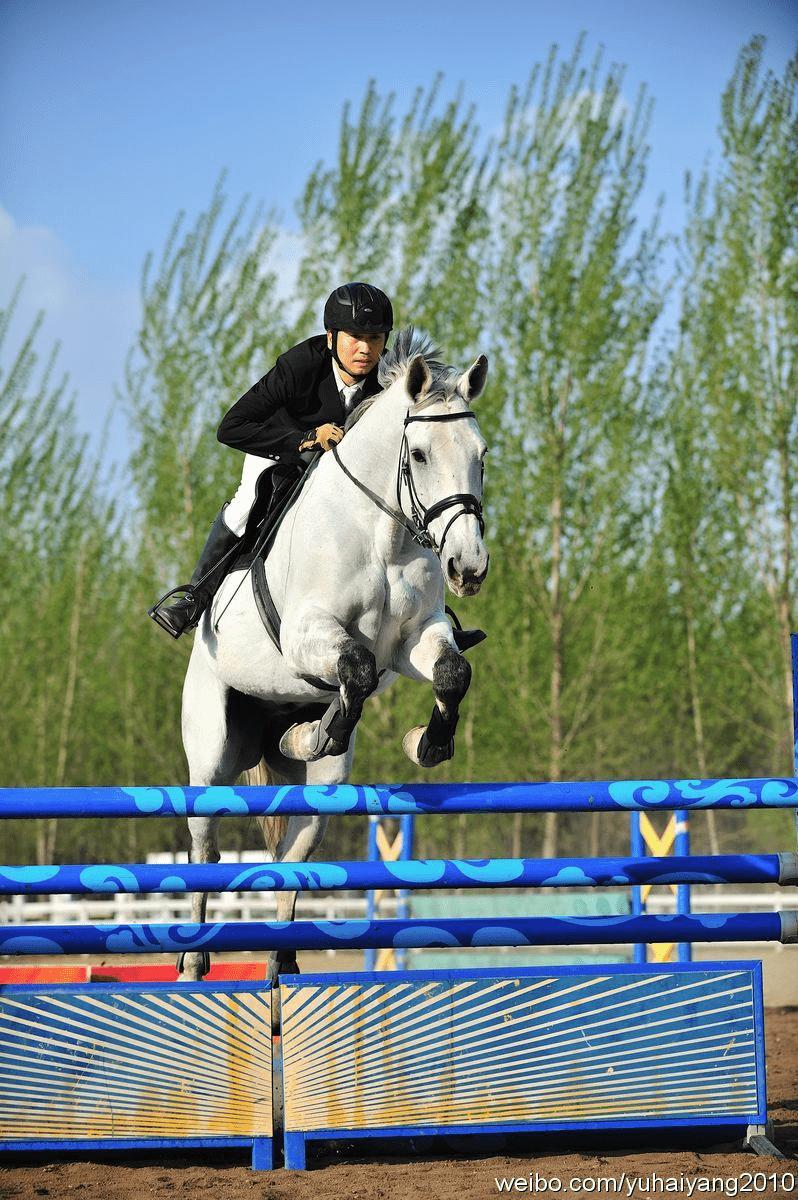 张卫健|真的蛋饺肉丝回来了!杜淳回归《追光吧!》大秀舞蹈?