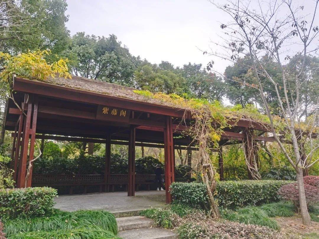 宝山顾村公园旧貌换新颜让市民安心舒心