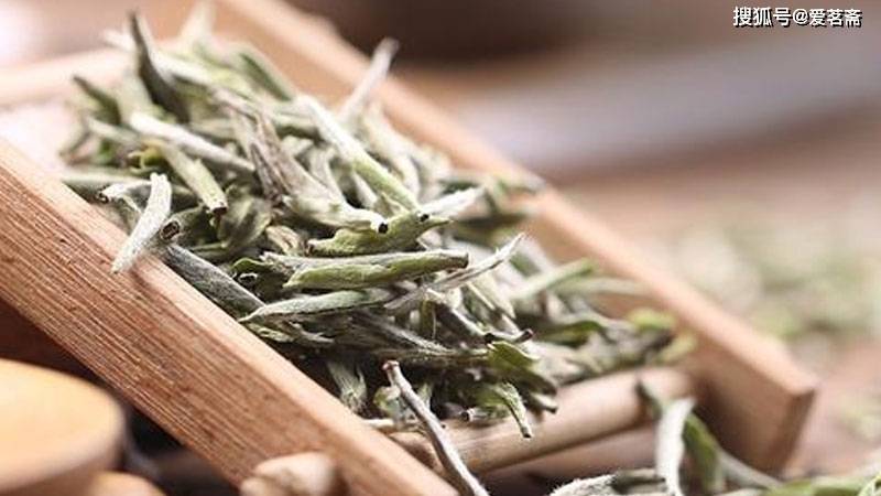 中分|泡白茶,如何控制茶汤的浓度?