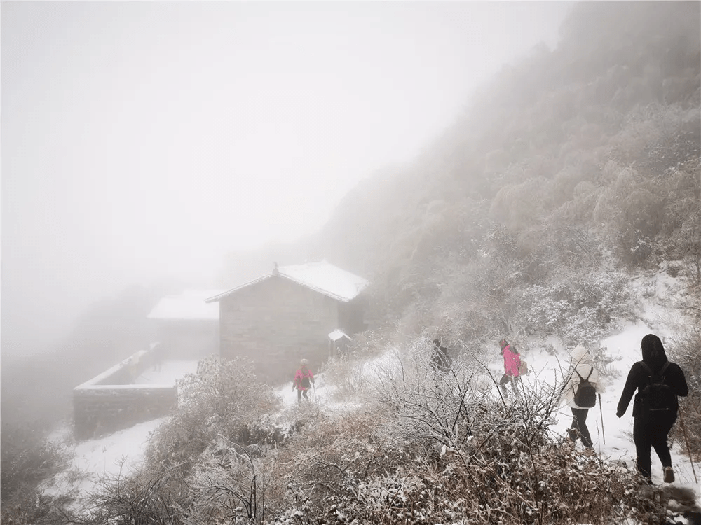 生活|赏高黎贡山雪，盼人间春色