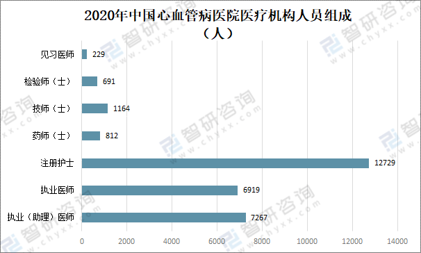 161%同比增加；6919人执业医师有；诊疗人次数为6158万人次2020年中国血汗管专科病院(图2)