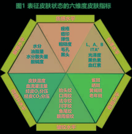 分析东方本色：基于皮肤本态的中国女性肤色伴随特点研究