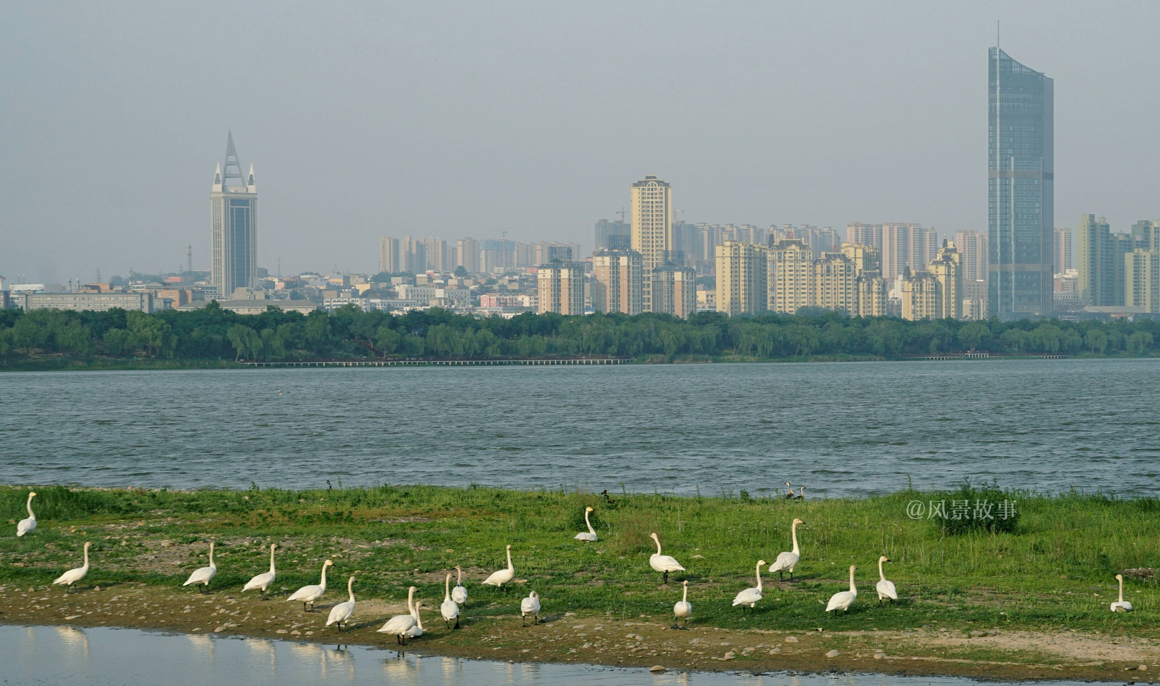 河南首家国家城市湿地公园，收费再免费，景色挺不错