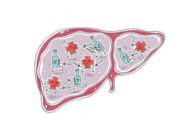 肝脏|肝脏“最怕”这3类早餐，多吃一口，肝功能越弱，劝你赶紧扔掉！