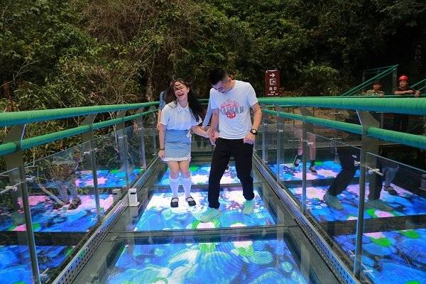 游客在开心体验5d特效玻璃栈道(槟榔谷景区供图)游客小心翼翼走在"