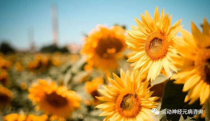 症状|运动神经元病的诱发因素