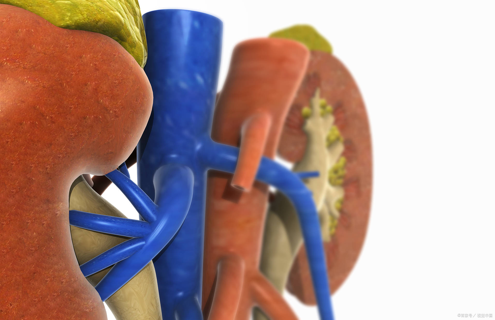 治疗|血肌酐升高说明肾病严重？5个指标综合判断，助你了解肾衰竭程度