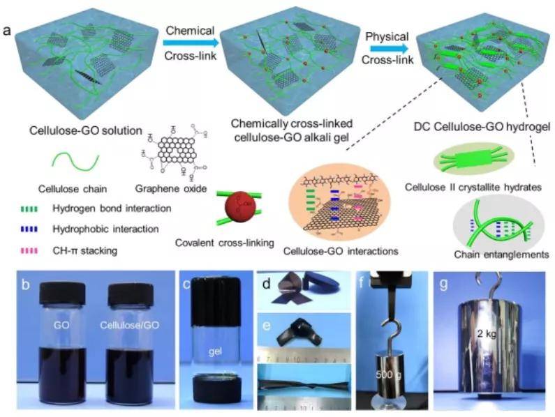 武大构筑强韧纤维素氧化石墨烯复合水凝胶并作为光热抗菌平台