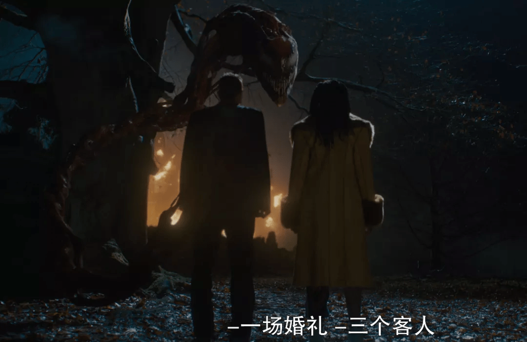 娱乐|恩佐注册登录