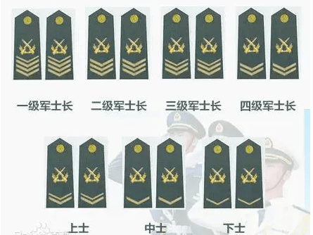 士官入伍后,由所在部队按照审批权限下达士官任职命令,并授予相应军衔