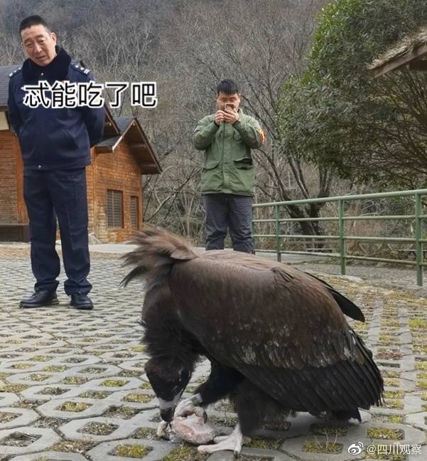 北京保利2023春拍丨开国功臣后孤本风雅传——姚继与解祯期-腾讯新闻