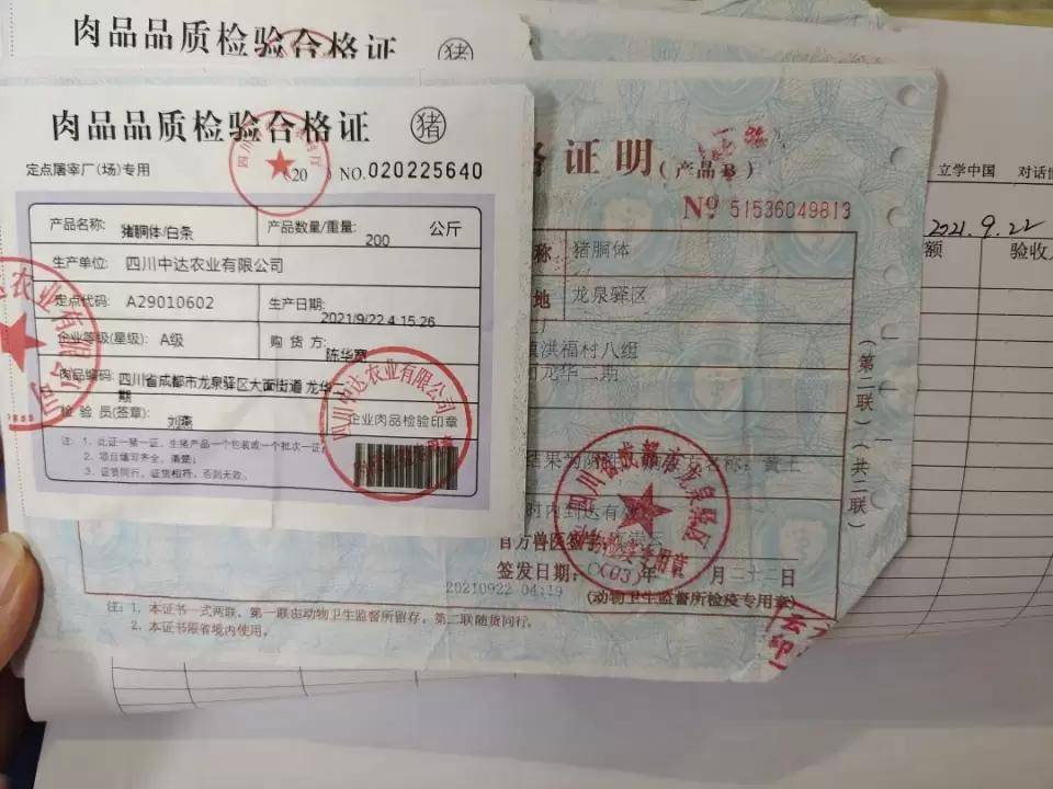 食刻坚守护佑舌尖安全成都栢基国际pyp幼儿园食品安全工作纪实