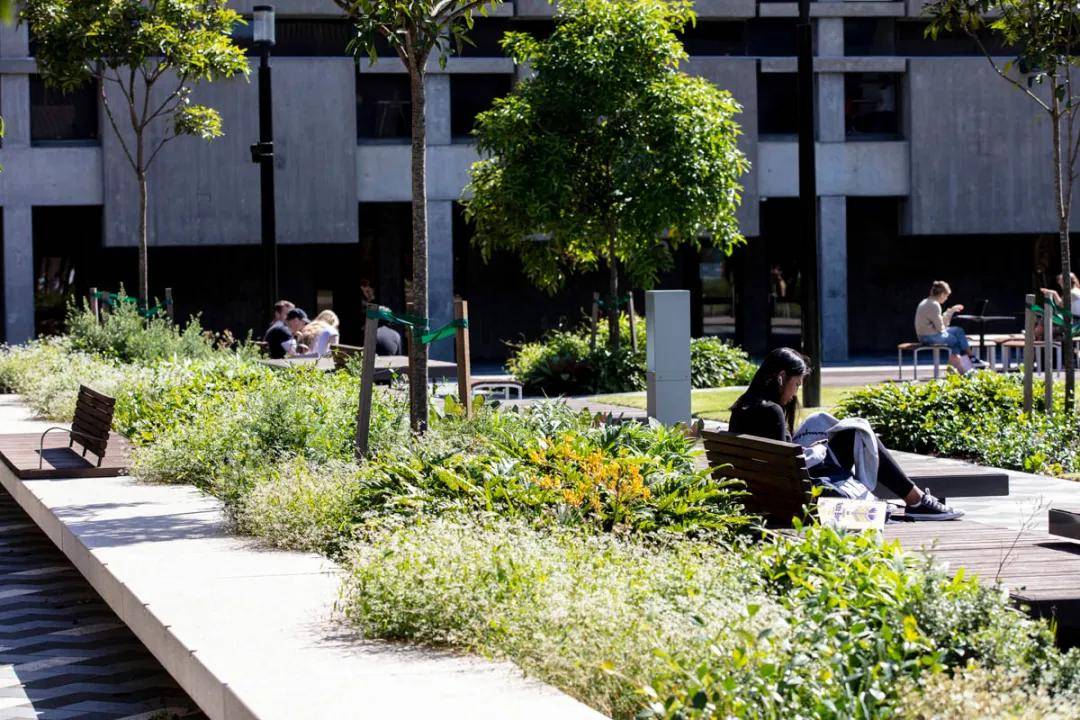 麦考瑞大学的新中央庭院重新构想了传统的校园生活_空间_景观_教育