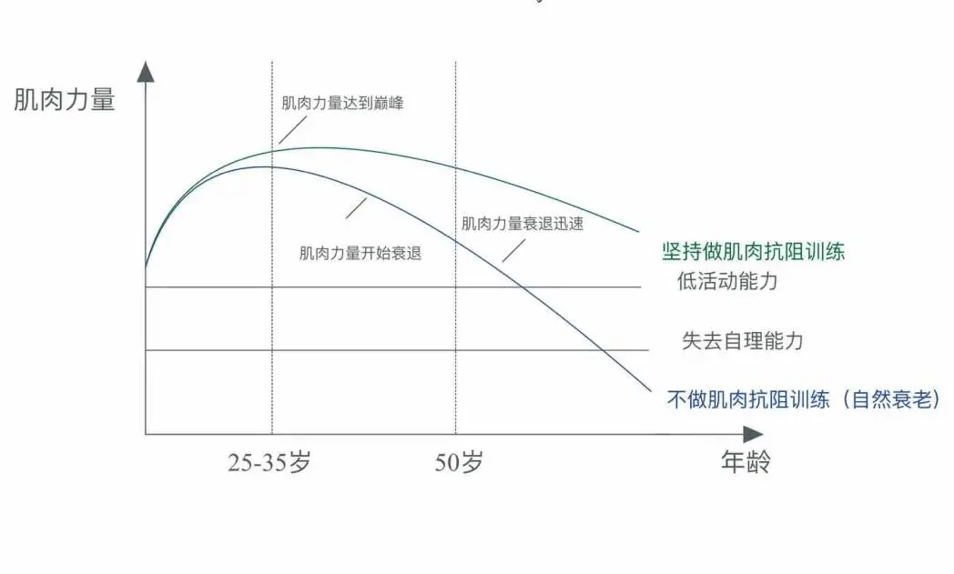 年龄段肌肉力量——最好的抗衰药就在我们自己的身体里