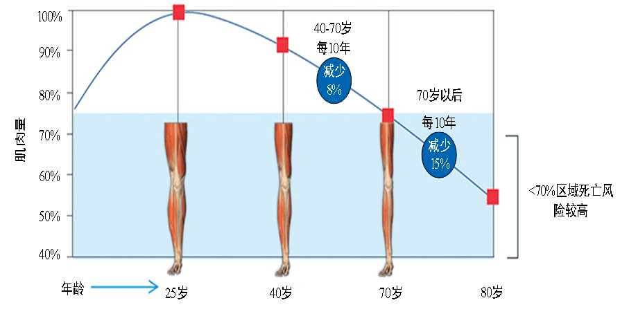 年龄段肌肉力量——最好的抗衰药就在我们自己的身体里
