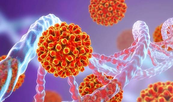 肝脏|乙肝患者,自身的寿命真的会缩短吗?你的理解真的对?看专家理解