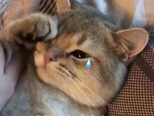 邓超|邓超陈赫刘昊然挑战轮滑上坡秒变“螃蟹”？