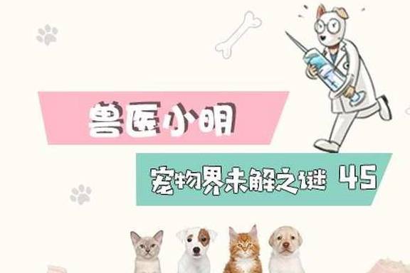 严重辟谣：柯基掉毛严重是品种问题？主人饲养不当，会导致病理性掉毛