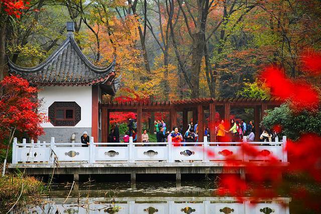 南京这个“赏枫地”，可媲美北京香山，门票40元是当地“网红地”