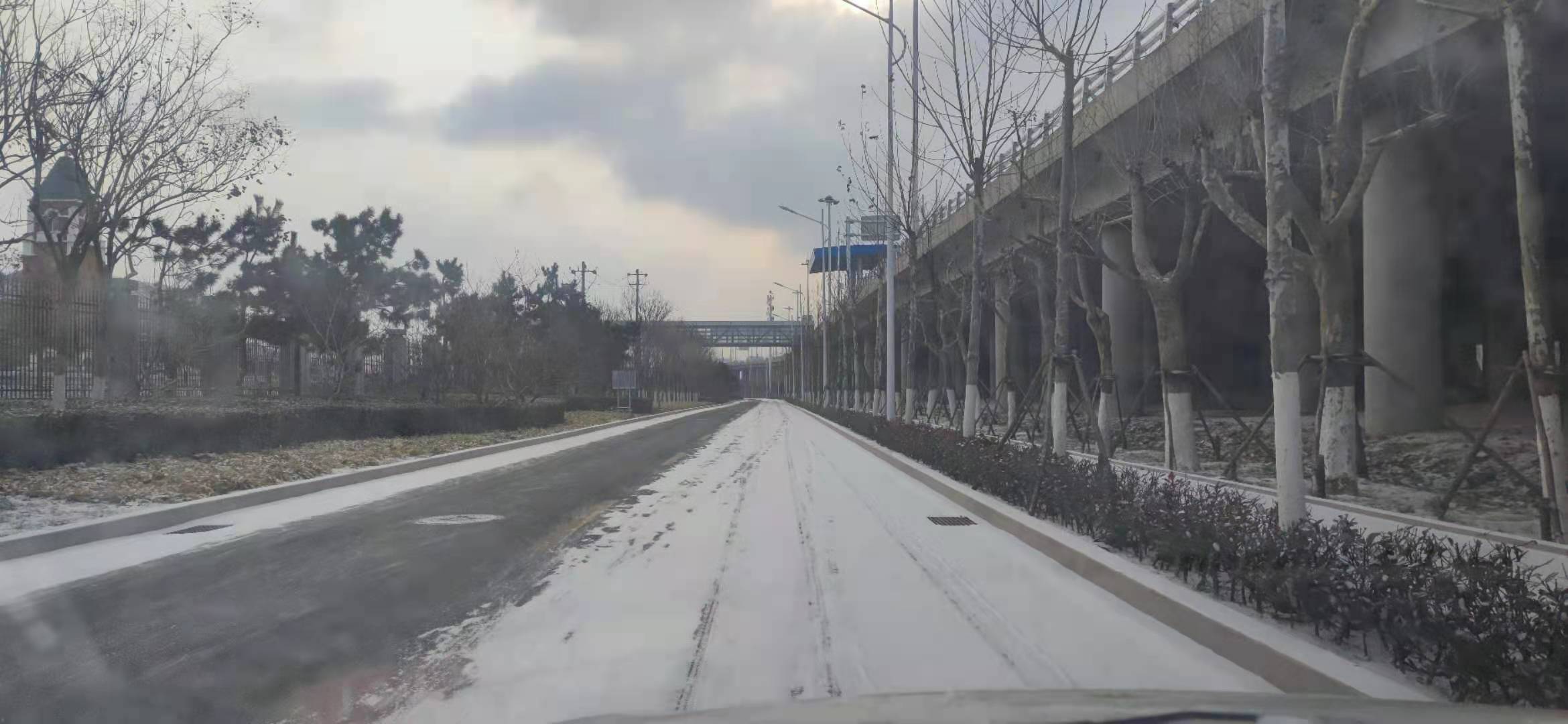 黄岛|撒盐空中差可拟｜2021青岛初雪，快来欣赏各区雪景～