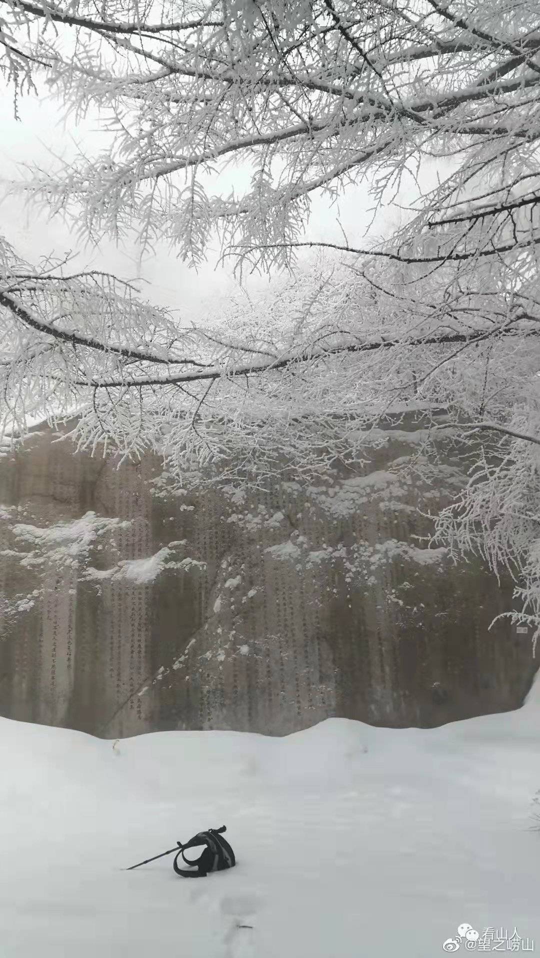 雪景|雪后青岛：雪中景、雪中忙、雪中情、雪中乐……集全了