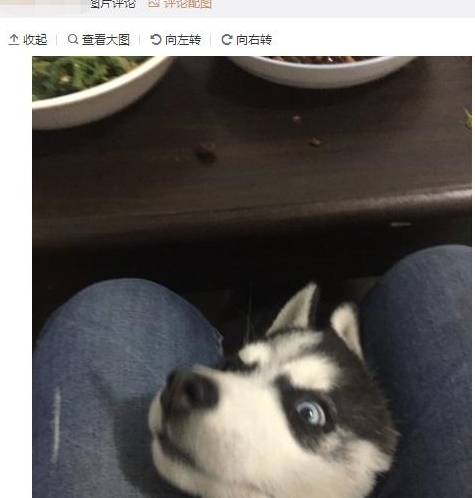 73755e69ff84466590b25a4212225206.jpeg