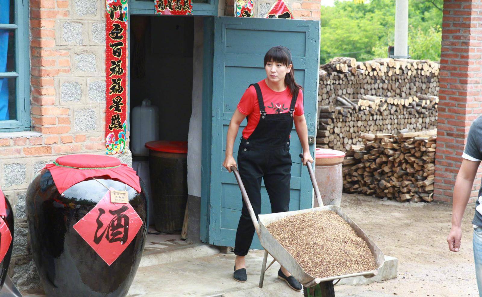 刘家|《刘家媳妇》央八开播，路遥《人生》的味道，闫学晶角色受非议