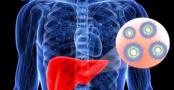 免疫力|乙肝病毒携带者可以活多长时间？你的理解真的对吗？看专家的理解