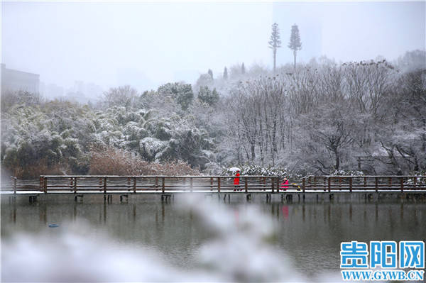 中雪|【图集】贵阳观山湖公园银装素裹惹人醉