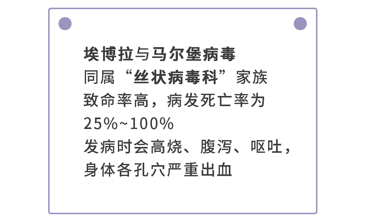 马尔堡病毒竟是最温和的一位人们才发现从非洲大陆中蔓延时当它的"