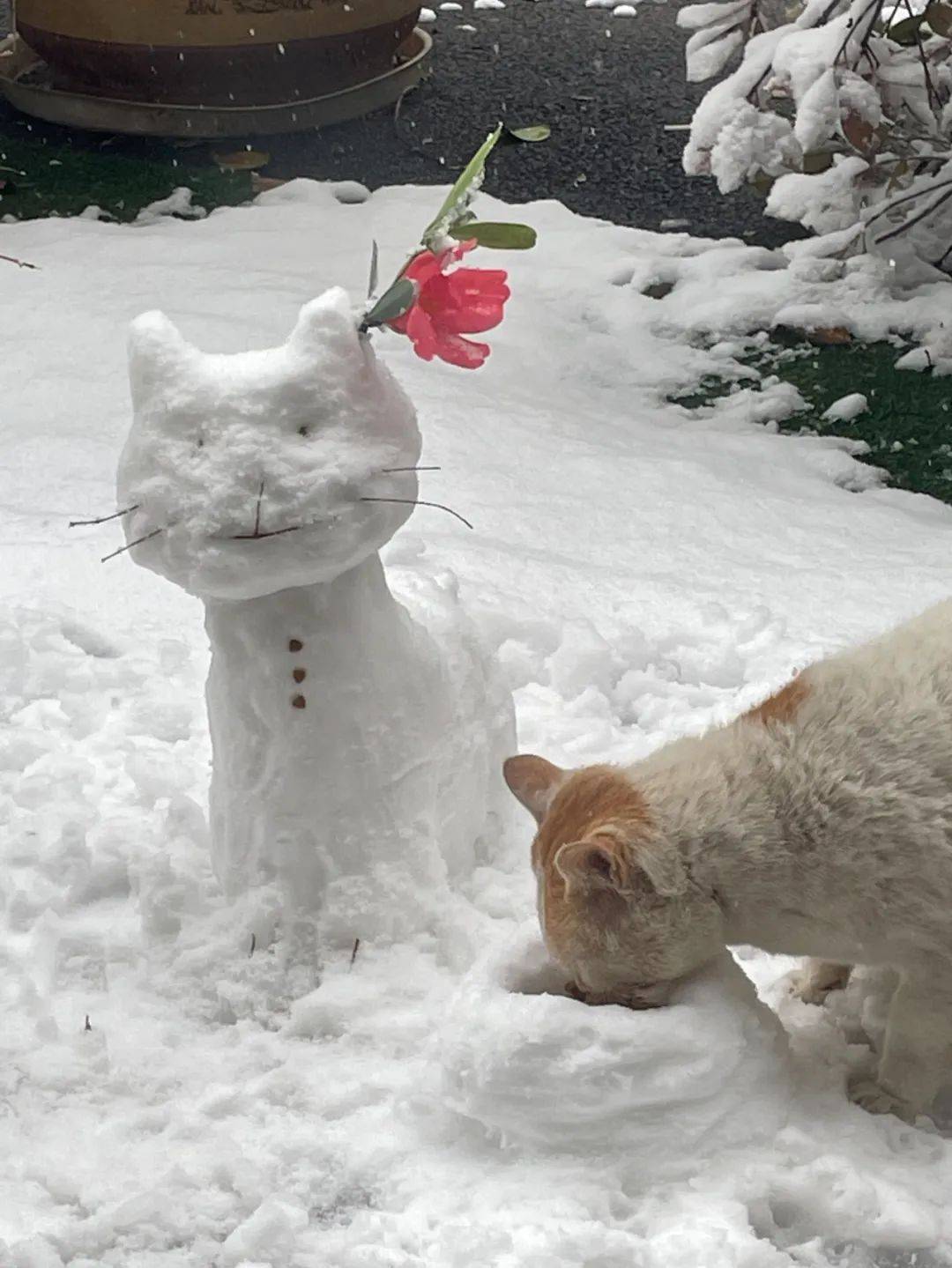 雪人雪人大比拼，让我发现这些人确实不走寻常路