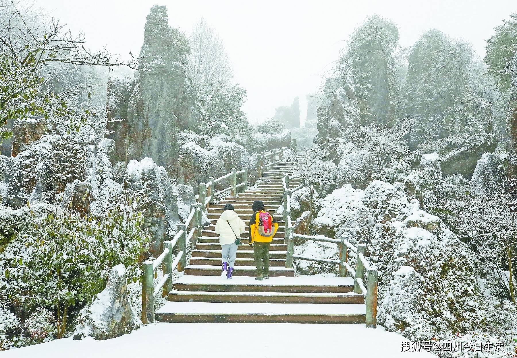 华蓥山又降瑞雪！