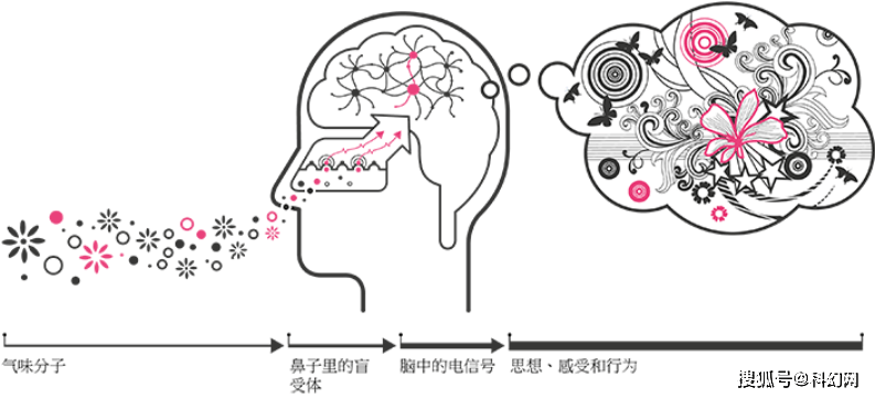 f769c4c372c44db6905421c1a5c44e7f.png