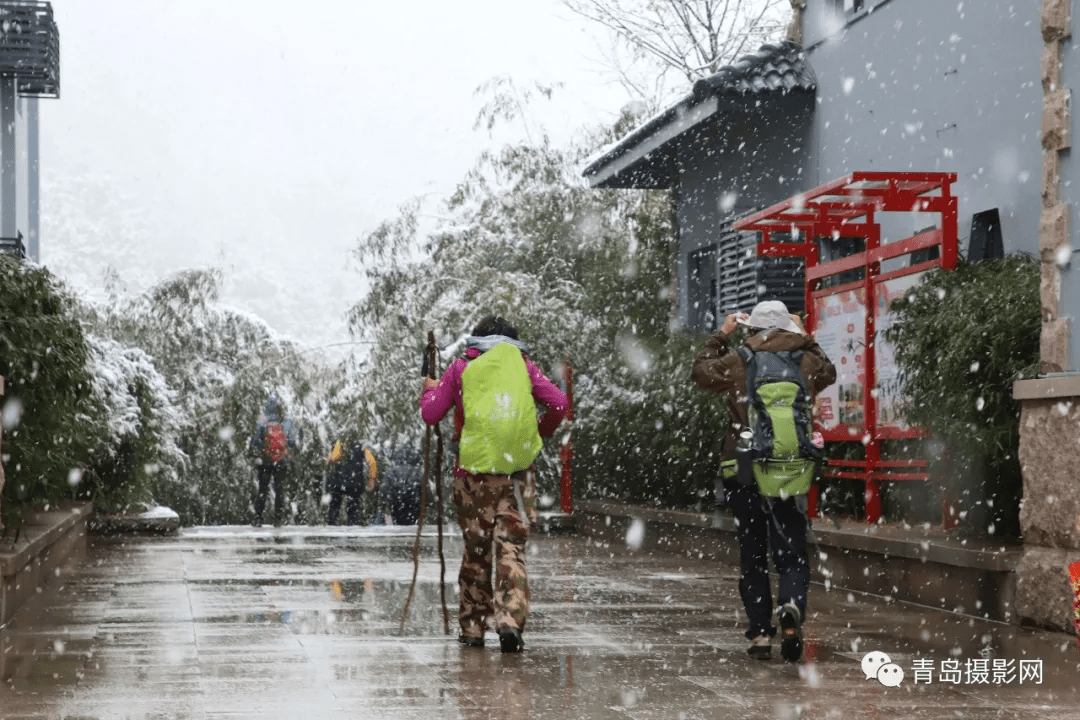 柳絮|一月一题 | 雪，让这个世界变得温柔而浪漫