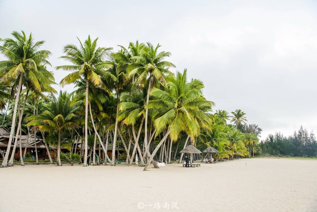 文昌市|东郊－海南美丽小镇，椰子树比海口多，海滩比三亚安静，你去过吗